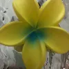 luamel246