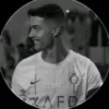 rojko_511