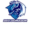 davizzin40