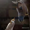 dkfvxukfkffi