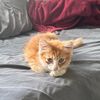 eddie_2903