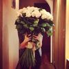 lily.alqahtani._5