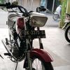 jaring.pipit