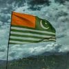 kashmirii494