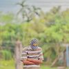ariyan.sakib179