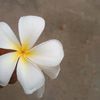 khin.khin.moe.oo6