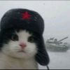 xiaofa____