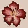 hrs8_jjn