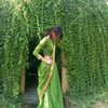 maharni50