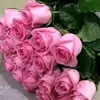 user61600137219806