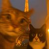 andrey_201020.02