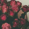 rahma_zoz