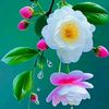 pann.ei.khaing656