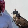 sultan.alhajri18