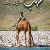 habib.askani33