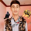 user186273977