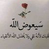 ahbab393