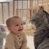 動物と赤ちゃん