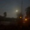 .tanyaluck0