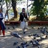 shidhant34