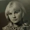 aleshnicvmv