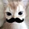 genericusername33