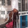 your_fav_gambian