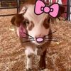 littlegugugaga