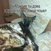 alogwqekosa