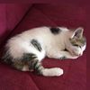 mariya_0180_