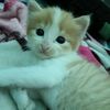 owewoww_