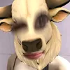 barrr_trannn