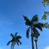 emiliapriv_1