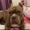 gardenia_tyson