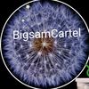 bigsamcartel