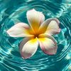 user5924005461335