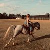 lily.annc