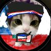 tocino_231