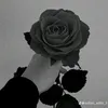 user8381398152710