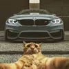 bmw.master7
