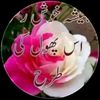 ashraf23333