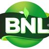bnl09096