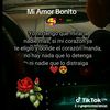 mariahidalgo524