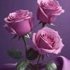 salmon_873