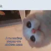 safarov_777854