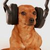 cooldawg005