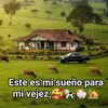 danielperez60943