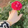 sabahibrahim067