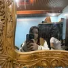 chelsy9777