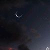 .moon7133